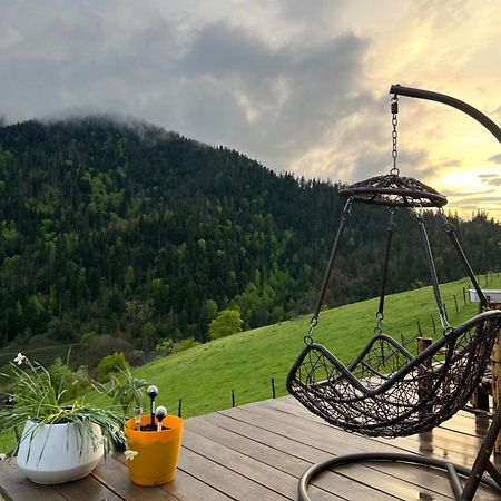 Mitarbi Silence Villa Borjomi Exterior foto