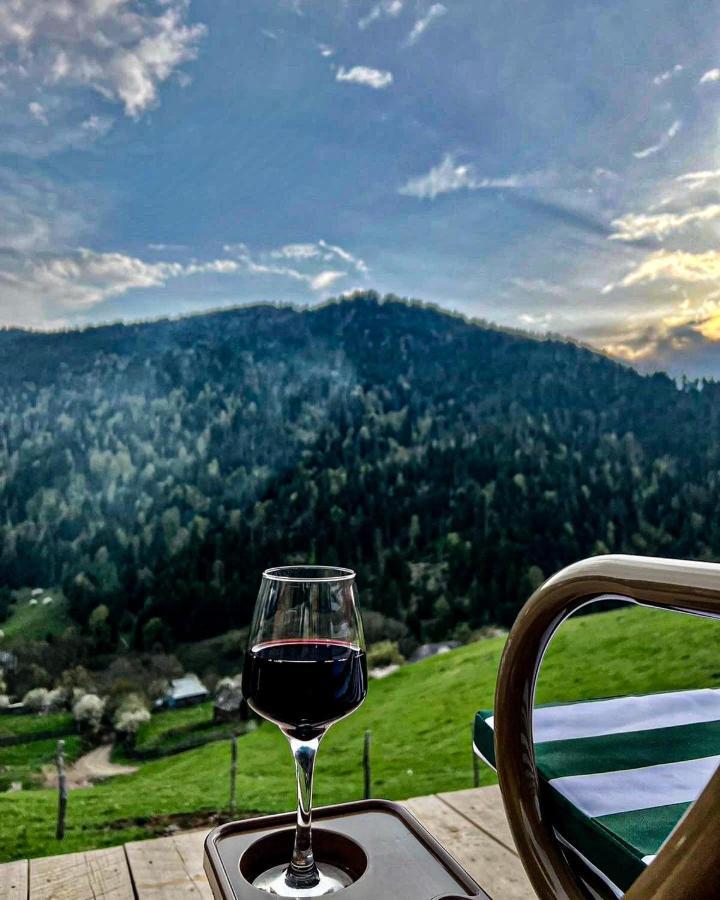 Mitarbi Silence Villa Borjomi Exterior foto