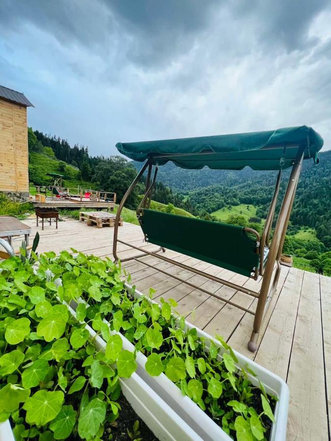 Mitarbi Silence Villa Borjomi Exterior foto