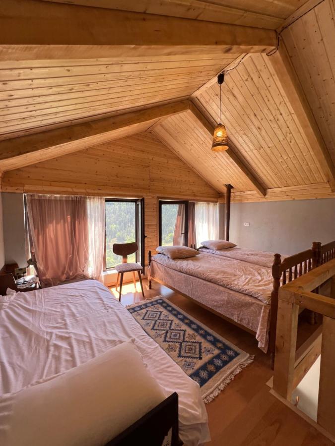 Mitarbi Silence Villa Borjomi Exterior foto