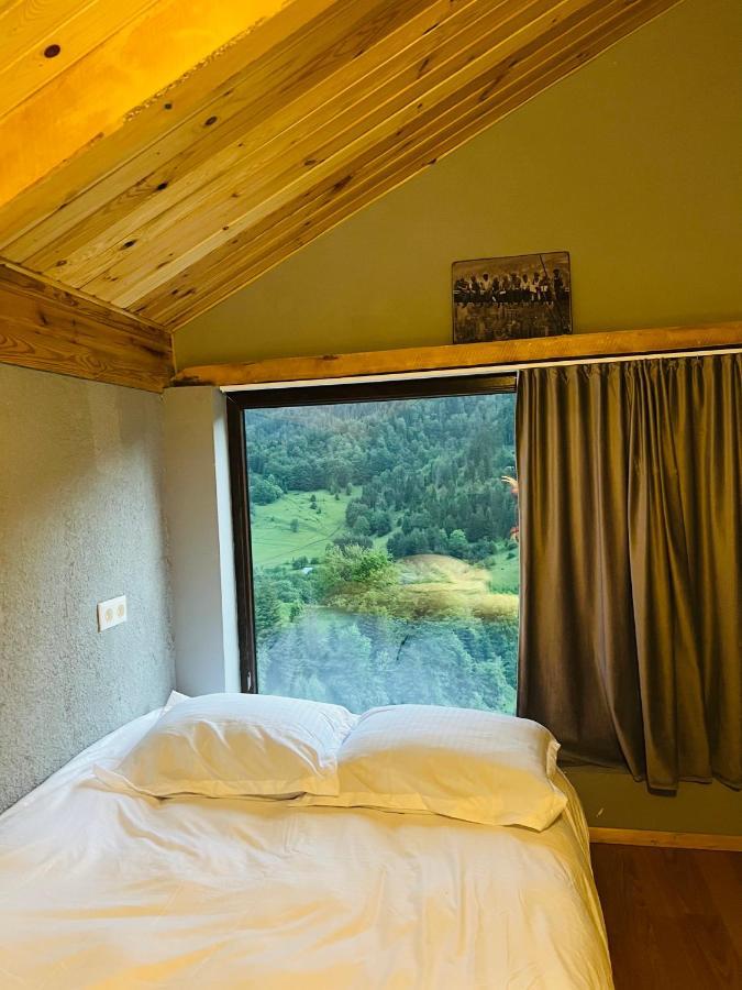 Mitarbi Silence Villa Borjomi Exterior foto