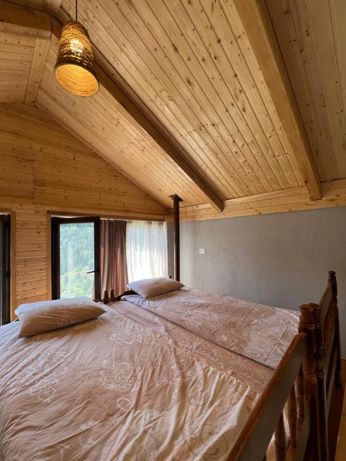 Mitarbi Silence Villa Borjomi Exterior foto