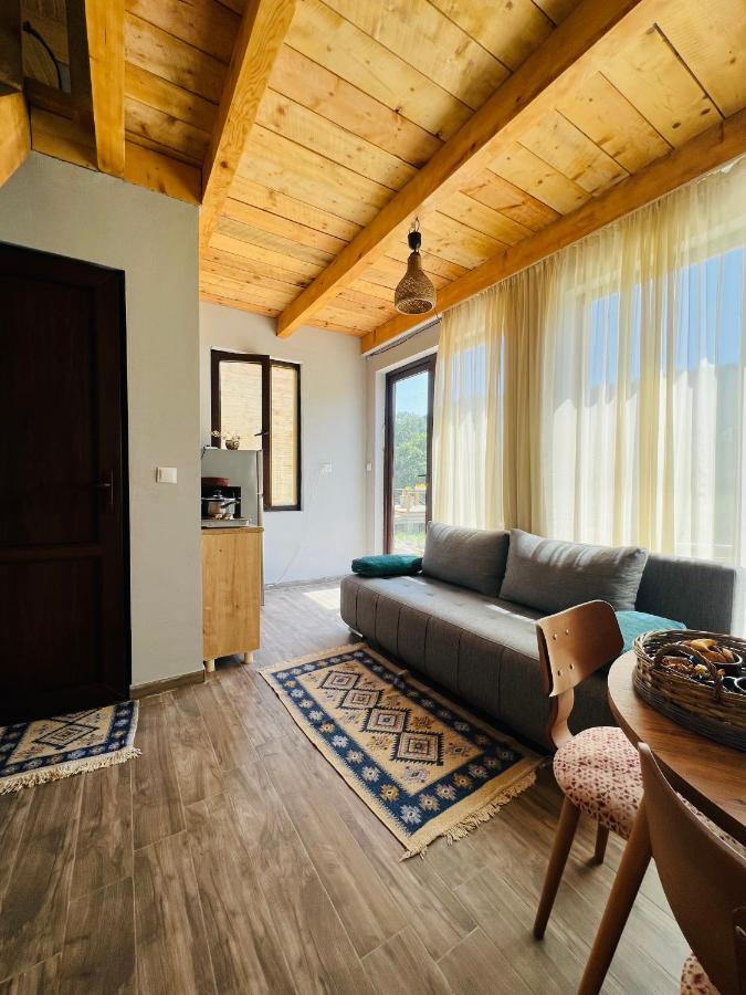 Mitarbi Silence Villa Borjomi Exterior foto