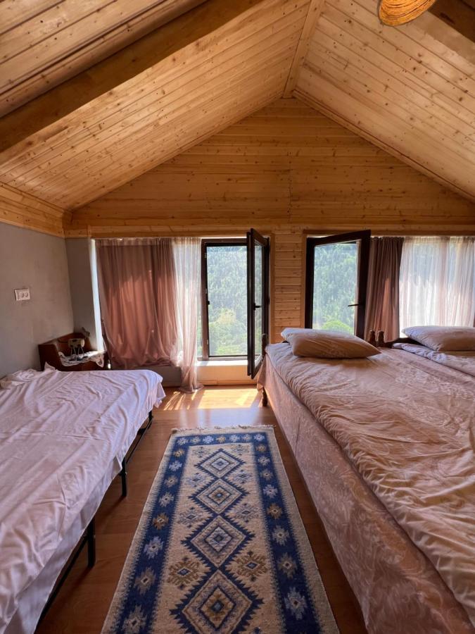 Mitarbi Silence Villa Borjomi Exterior foto