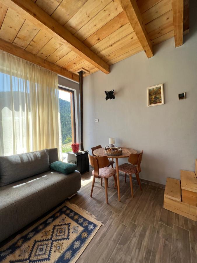 Mitarbi Silence Villa Borjomi Exterior foto