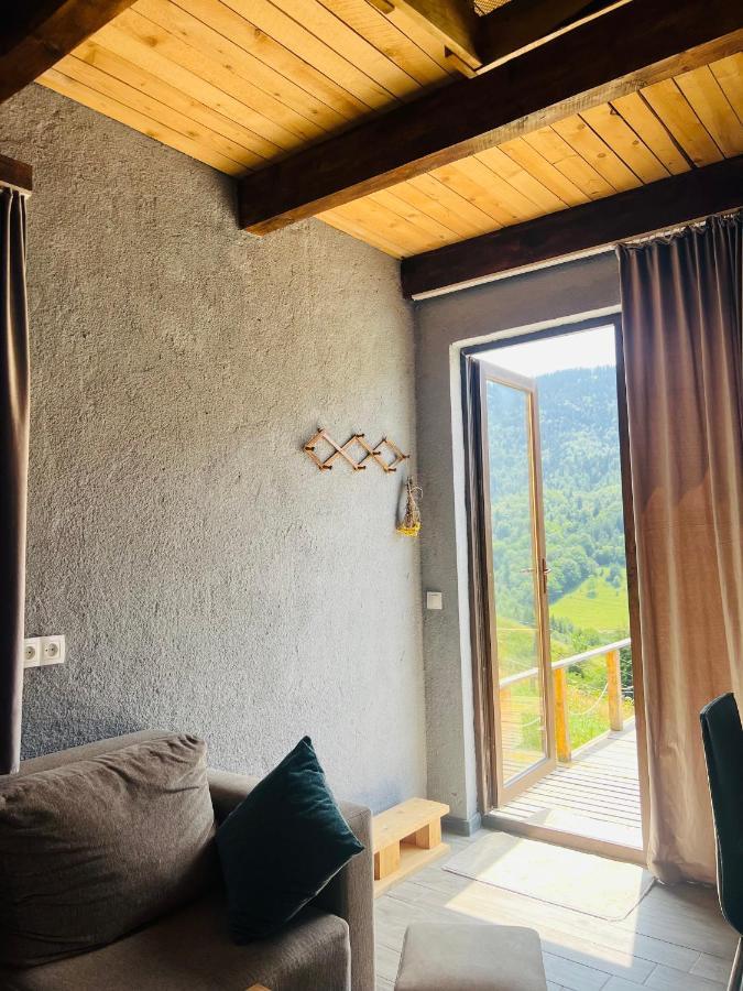 Mitarbi Silence Villa Borjomi Exterior foto