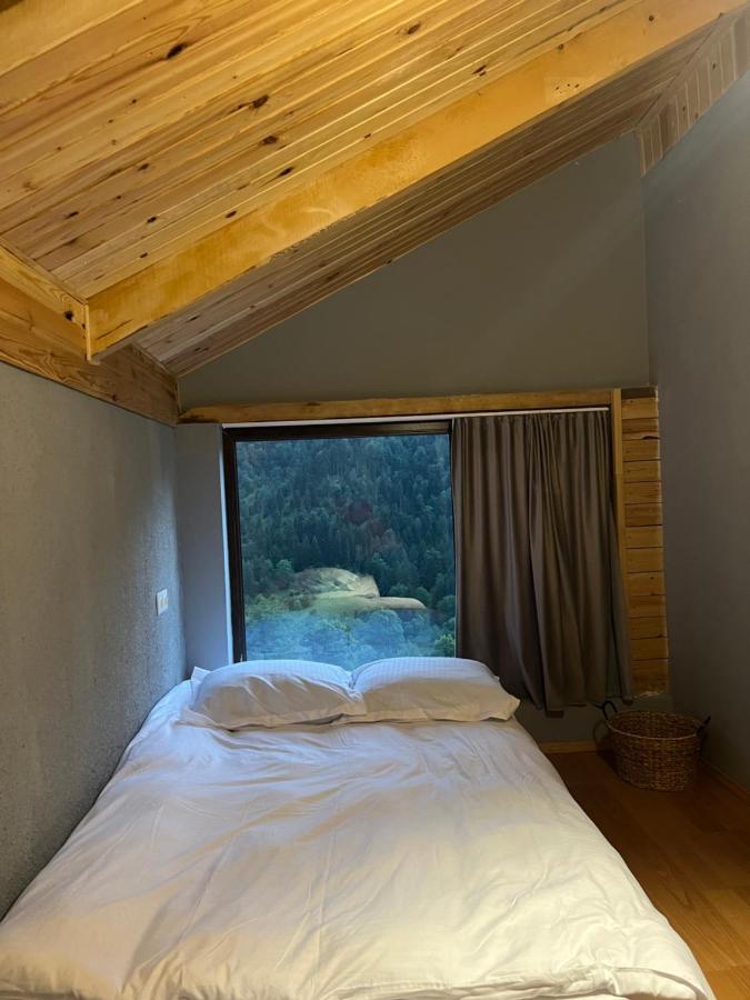 Mitarbi Silence Villa Borjomi Exterior foto