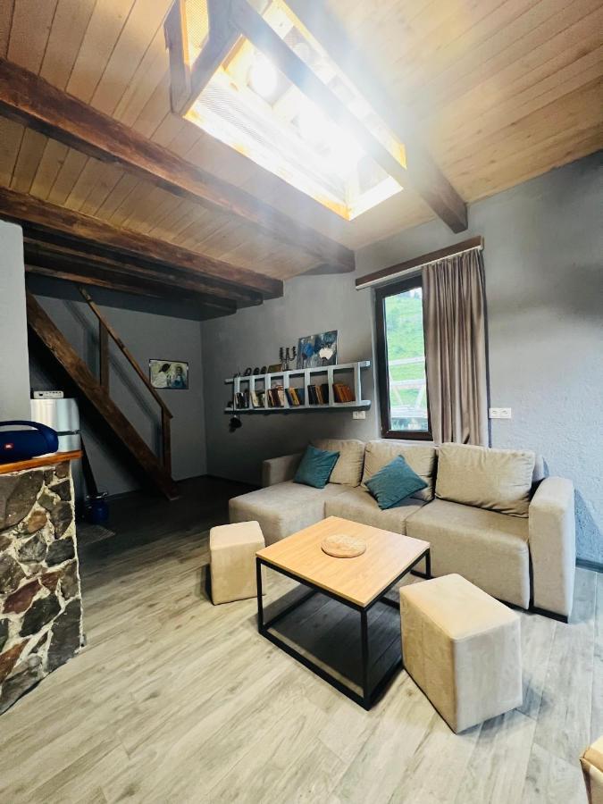 Mitarbi Silence Villa Borjomi Exterior foto
