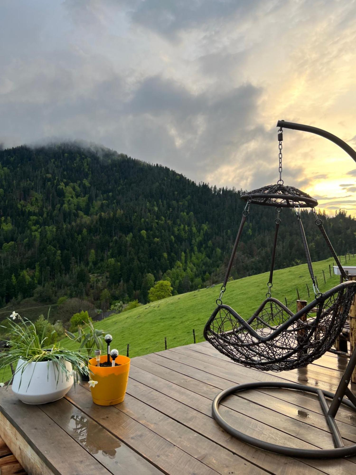 Mitarbi Silence Villa Borjomi Exterior foto